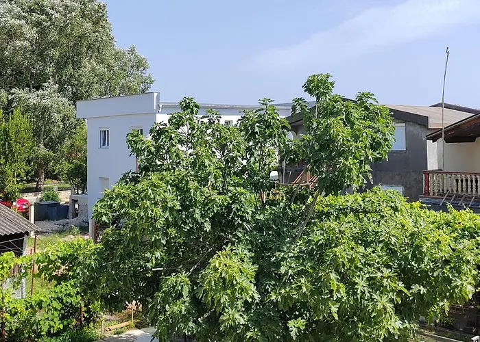 Vila Goga