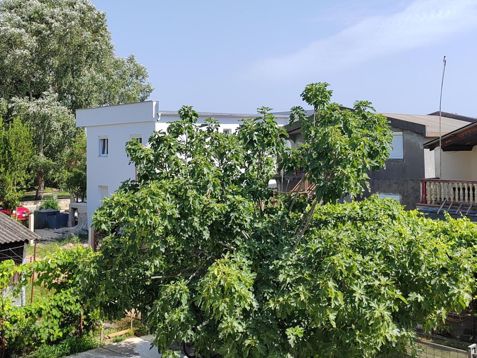 Goga Apartman